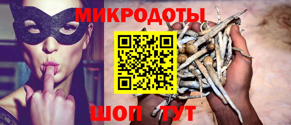 Вологда  Псилоцибиновые грибы Magic Shrooms  наркошоп  Псилоцибиновые грибы мухоморы  Вход с VPN 